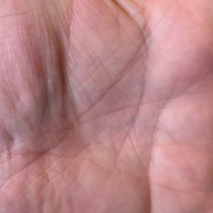 Meet your Posher, Seth